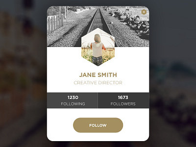 Daily UI : #006 // User Profile card dalyui day06 profile ui user ux