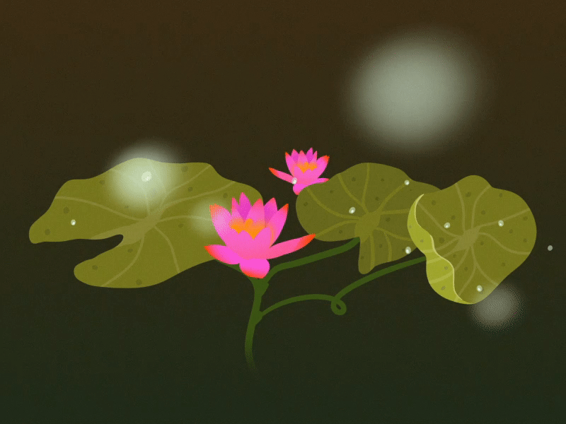 Lotus glowing in the night 2d 2danimation aftereffects animation artist artwork belgian design digitalart flowerart gif illustration loop lotus motion graphics motionart plants procreate