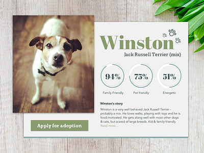 Daily UI 006 - User profile branding dog fresh graphic design pet typography ui user profile ux website design