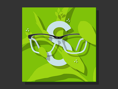 Spring design discount ecommerce eyewear frame glasses graphic online optical radesigner