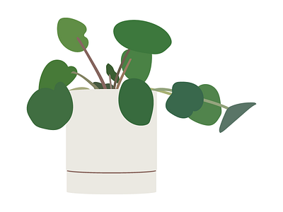 House Plants 01