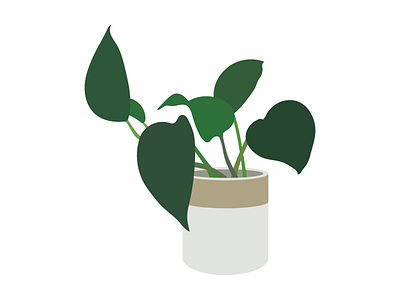 House Plants 05