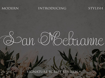 San Meltianne - Wedding Font font fonts handlettered script fonts signature font