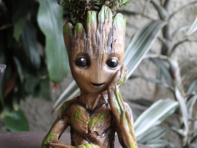 Groot