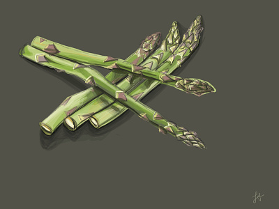 Asparagus art asparagus digital digital illustrator drawing illustration painting procreate spring vegetables
