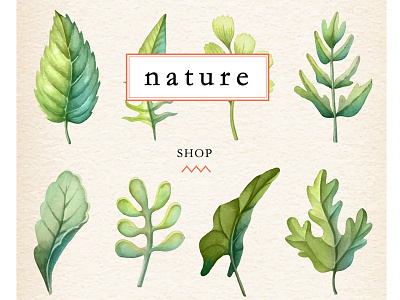Nature website design graphic layout nature ui ux visual web website wellness