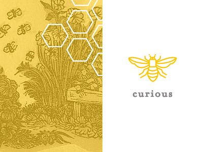 Bee curious honey labels bees honey illustration label local package design present swag takeaway gift