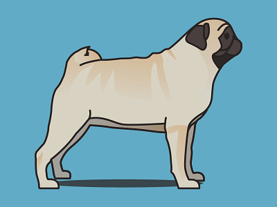 Sarge the Pug dog homie illustration little pet pug vector