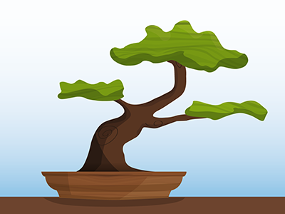 Bonsai bonsai illustration