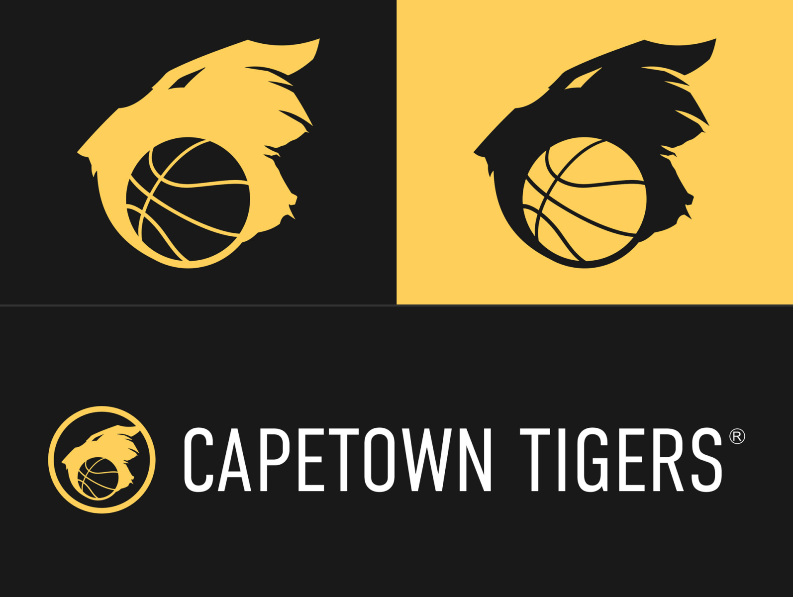 Cape Town Tigers Brand ID by Enensa on Dribbble