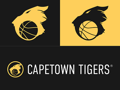 Cape Town Tigers Brand ID branding illustration
