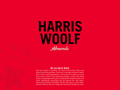Harris Woolf Case Study branding branding design design graphic design logo