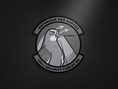 It's a bird, it's a plane... air force airplane bird black and white falcon hawk illustration patch tweet vector