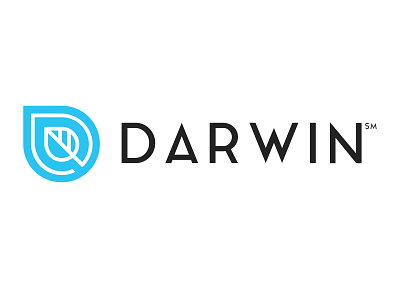 Darwin Logo branding design geometry illustration logo simple typography vector