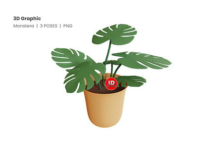 3D Graphic Monstera