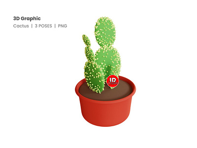 3D Graphic Cactus