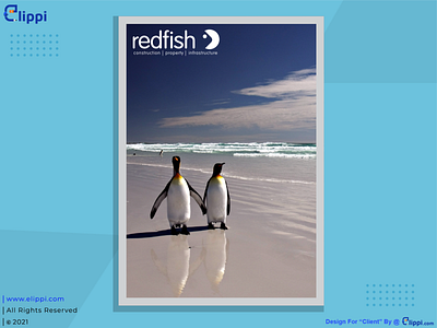 Redfish Panguin Poster Design For Client