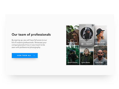Team Section agency agency site hover landing page team ui website