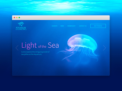 DailyUI 003 - Landing Page (Above the fold) 003 aquarium of the pacific dailyui design desktop landing page redesign refresh ui