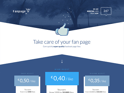 Landing page choose facebook fan page homepage landing like pricing pricing table purchase