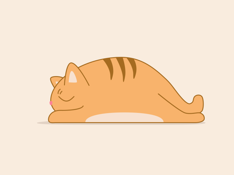 Fat cat sleeping