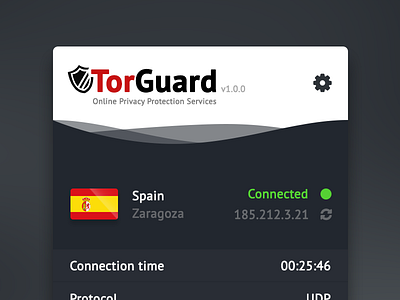 TorGuard client concept