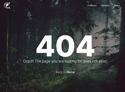 404 Error page ui