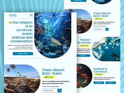 Ocean Conservation UI Design