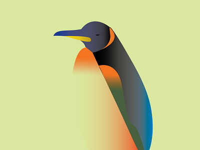 penguins animals branding clean colorful design gradient graphic design illustration illustrator logo penguins sea ui vector