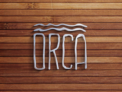Orca Logo brand concept drawn grunge hand hidden idea logo metal orca scratch sea secret wood