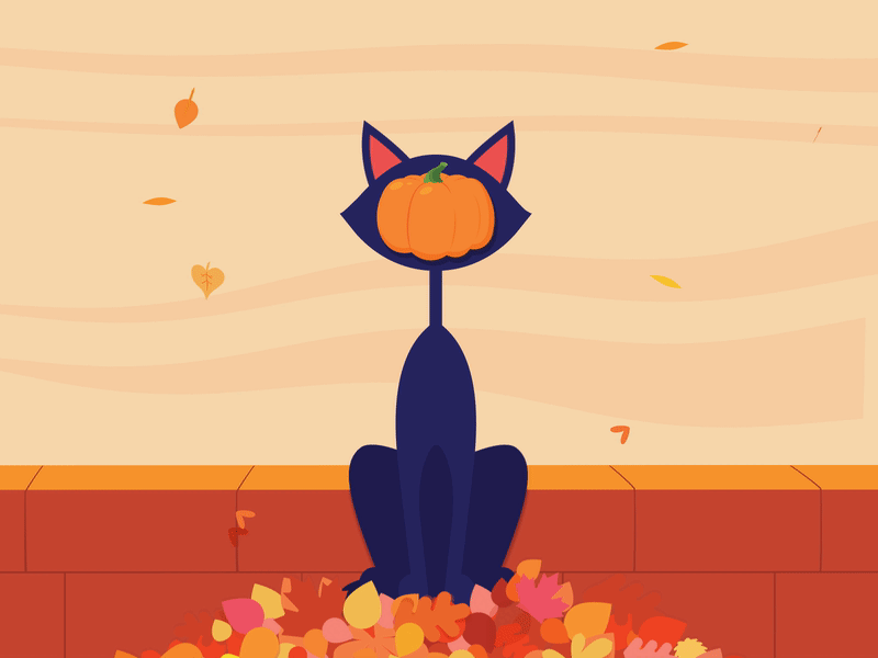 The Son of the Pumpkin a.k.a. “Pumpkin Face” aftereffects animated gif animation cat cute face fall leaves loop motion graphics orange pumpkin rene magritte season surrealism tribute warm