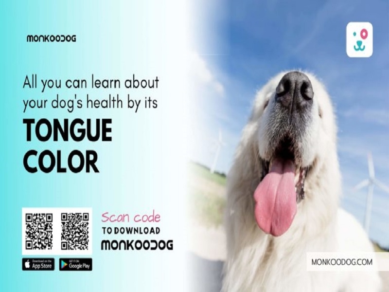 Learn About A Dog’s Health By Their Tongue Color Chart by Monkoodog on