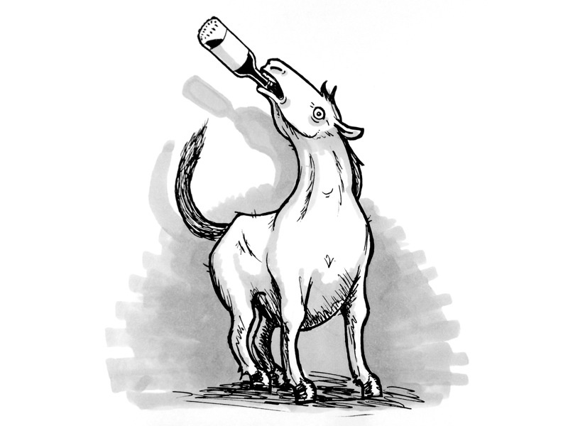 A Horse Drinking a Beer by Dan Holmoe on Dribbble