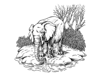 lineart_elephant_dmpr black black and white design illustration line art