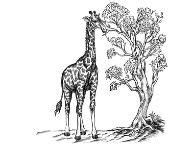 giraffe_lineart_dmpr black and white design illustration line art tattoo