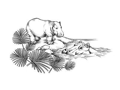 hippos_lineart_dmpr