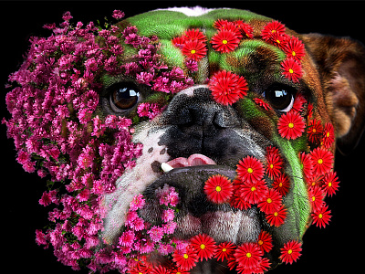 Bulldog Growth animals bulldog design flowers garden humor mashup pets