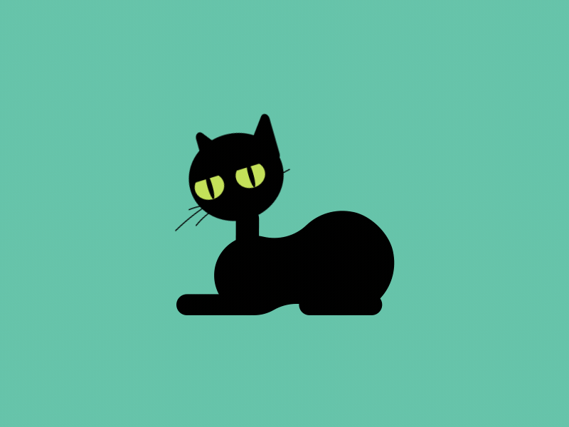 bzzz. after effects black cat cat life illustrator mograph motion design