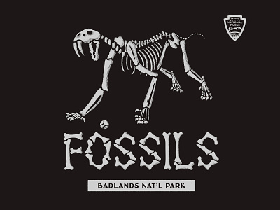 Fossils — Badlands National Park badlands baseball bones design fossil fossils identity illustration logo national park sabertooth skeleton sports logo sportslogo