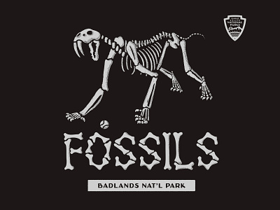 Fossils — Badlands National Park