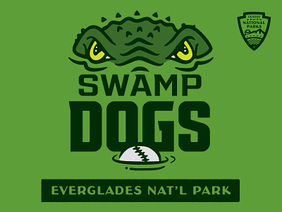 The Swamp Dogs — Everglades National Park alligator baseball branding crocodile logo national park sports logo