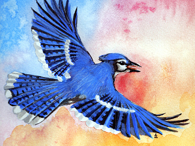 Blue Jay bird blue jay nature painting watercolor