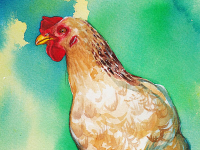 Ode to Cindy Spiva's heroic chickens bird chicken earth tones freeform nature rescue chicken watercolour