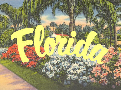Florida beautiful florida flowers hand drawn palm tree type