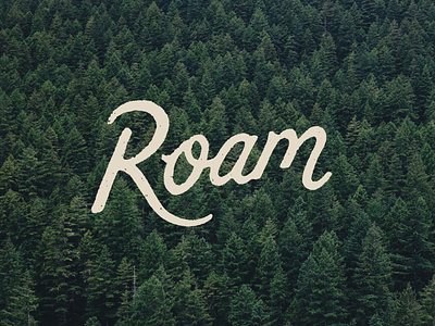 Roam branding design hand drawn joe horacek lettering little mountain print shoppe roam screen printing script type typography