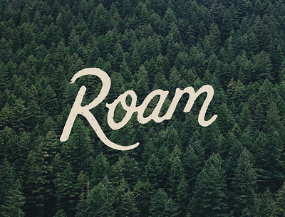 Roam branding design hand drawn joe horacek lettering little mountain print shoppe roam screen printing script type typography