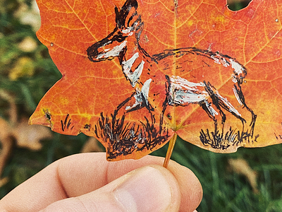 Autumn Pronghorn illustration inktober