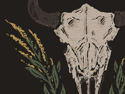 Spirit of the Plains bison buffalo design drawing great plains hand drawn illustration joe horacek little mountain print shoppe midwest procreate roam sketch skull