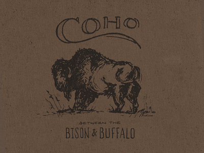 CoHo bison buffalo hand drawn illustration joe horacek lincoln little mountain print shoppe nebraska sketch the coffee house type typography