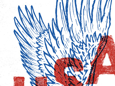 Eagle USA america design drawing eagle hand drawn illustration joe horacek lettering little mountain print shoppe patriotic typography usa